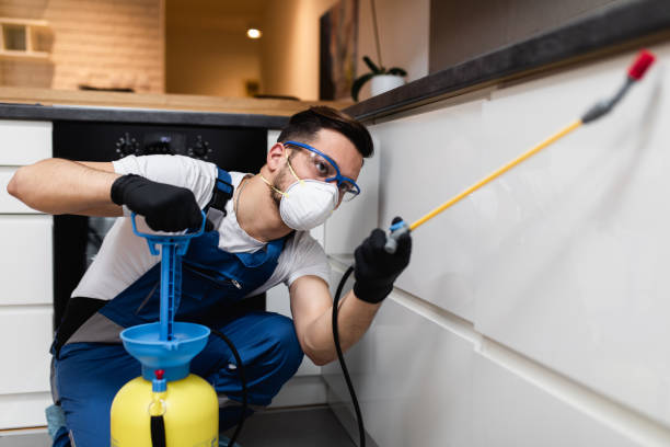 Best Affordable Pest Control Services  in New London, CT
