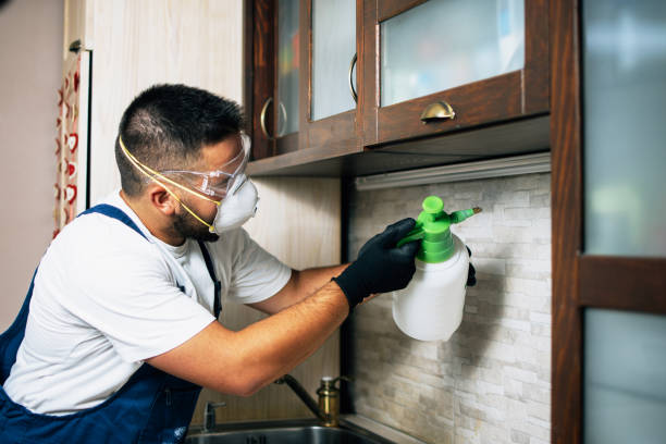 Pest Prevention Services in New London, CT