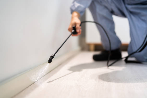 Best Termite Control Services  in New London, CT