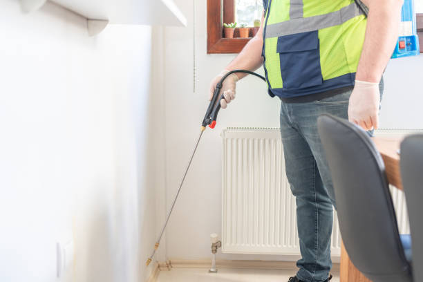 Best Exterminator Services  in New London, CT