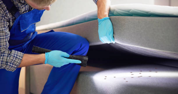 Best Cockroach Control Services  in New London, CT