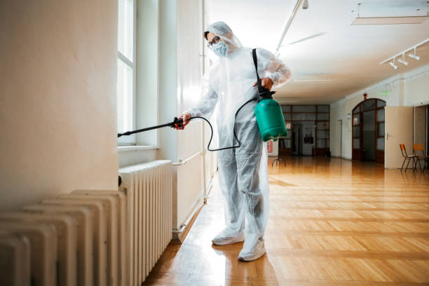 Best Wasp Removal Services  in New London, CT