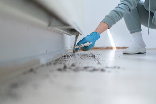  New London, CT Pest Control Pros