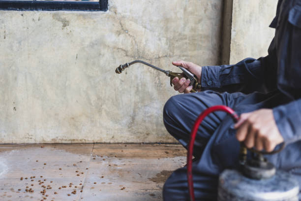 Best Best Pest Control Companies  in New London, CT