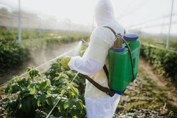 Trusted New London, CT Pest Control Experts